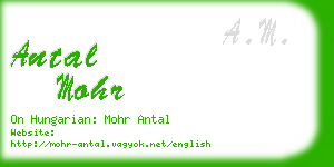 antal mohr business card